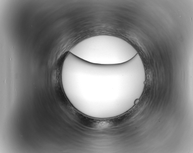 X0000093600218200710151003