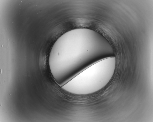 X0000093600219200710151003