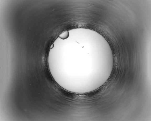 X0000093600222200710151003