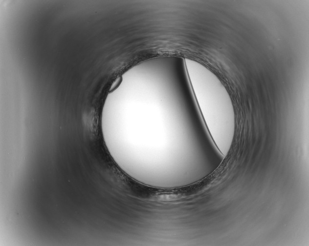 X0000093600228200710151003