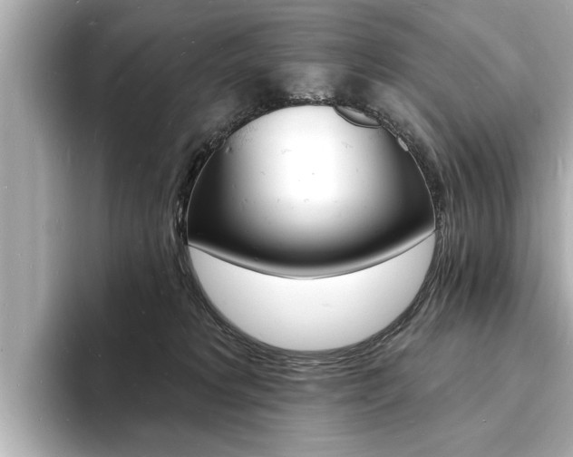X0000093600229200710151003