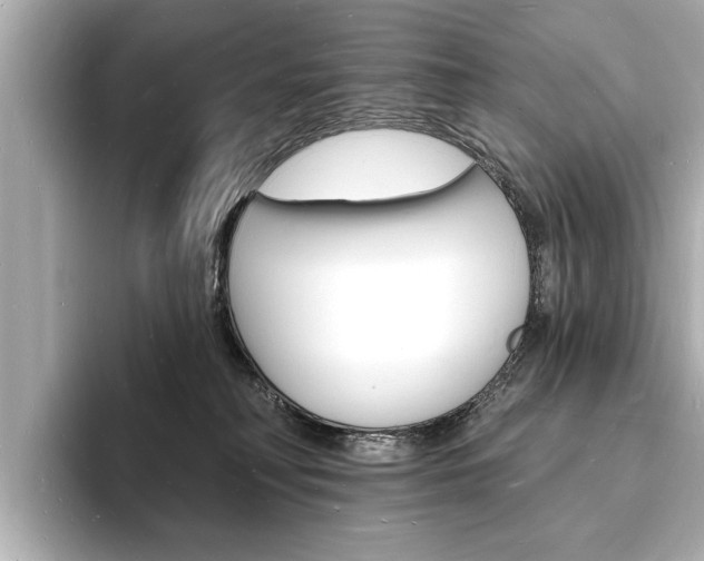 X0000093600230200710151003