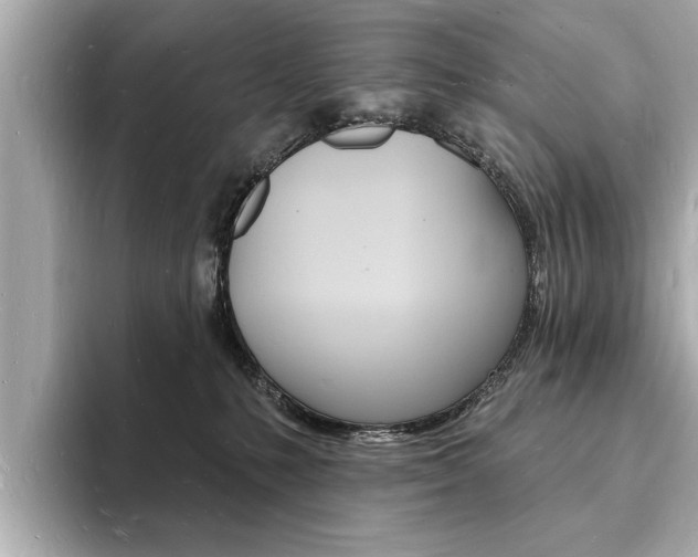 X0000093600231200710151003
