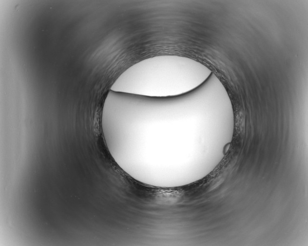 X0000093600234200710151003