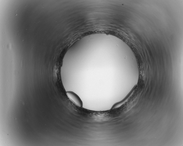 X0000093600235200710151003