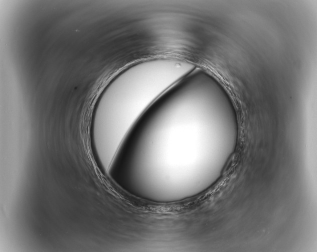 X0000093600241200710151003