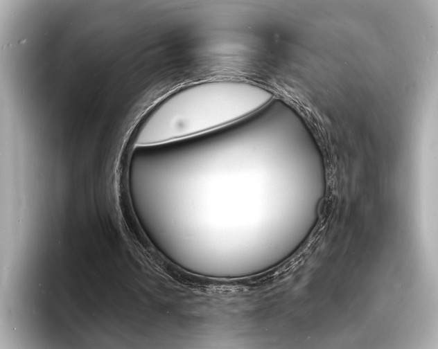 X0000093600242200710151003