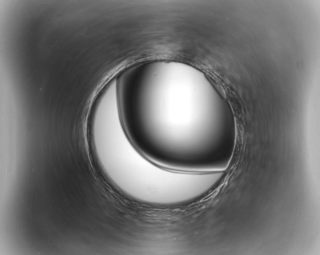 X0000093600244200710151003