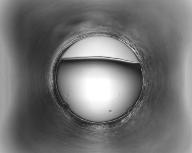 X0000093600245200710151003