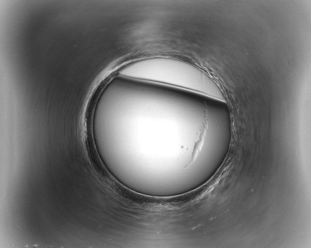 X0000093600246200710151003