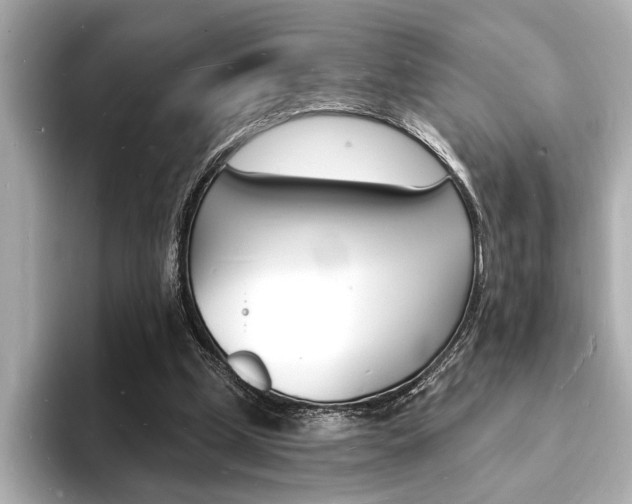 X0000093600249200710151003