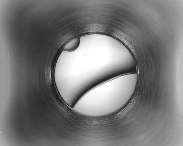 X0000093600253200710151003