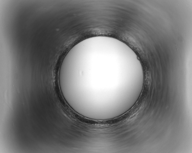 X0000093600255200710151003