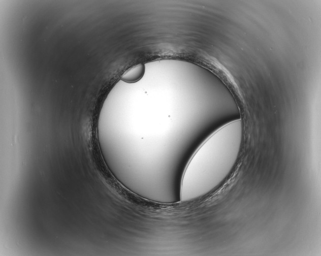 X0000093600257200710151003