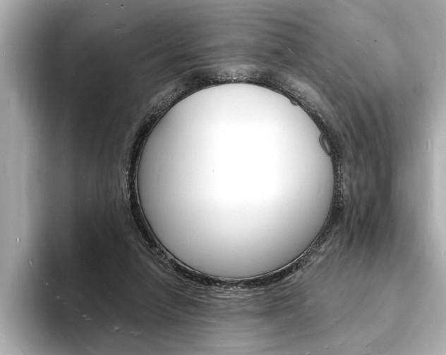 X0000093600258200710151003