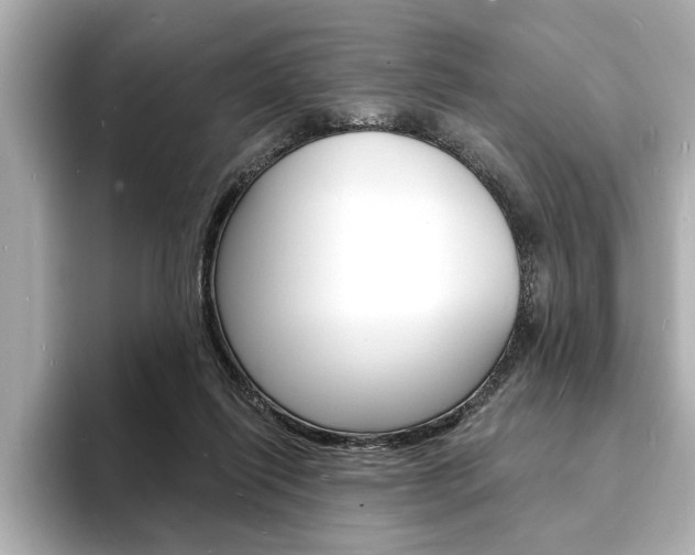 X0000093600262200710151003