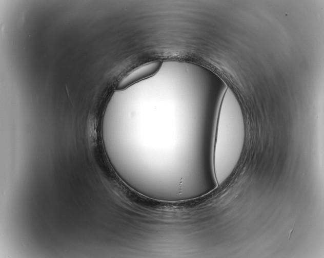 X0000093600264200710151003