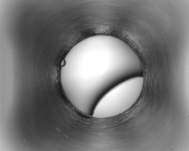 X0000093600273200710151003