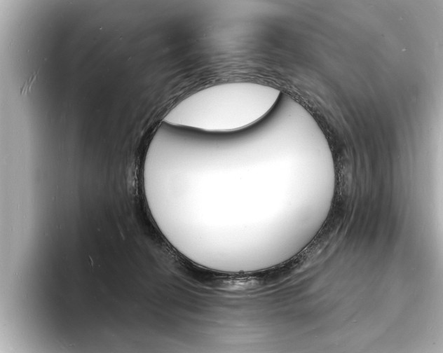 X0000093600274200710151003