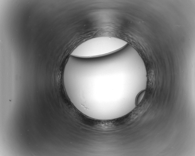 X0000093600278200710151003