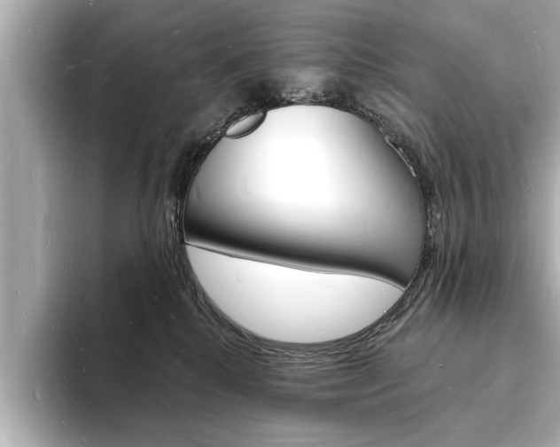 X0000093600280200710151003