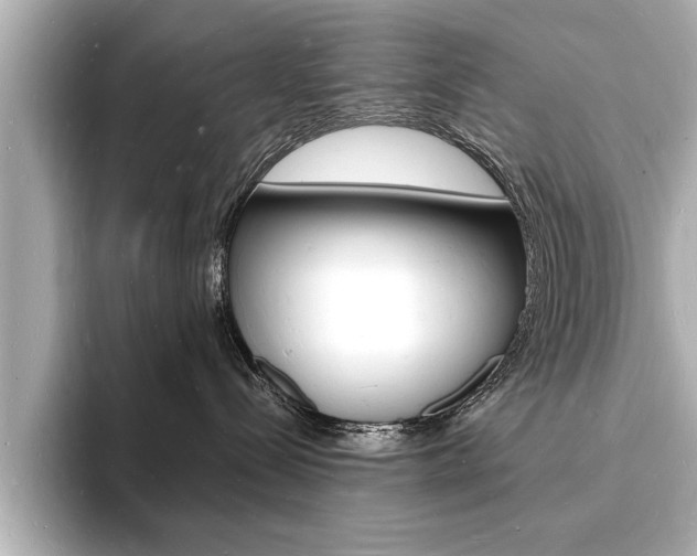 X0000093600288200710151003