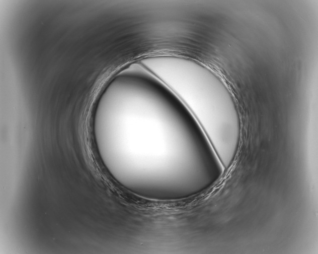 X0000093600289200710151003