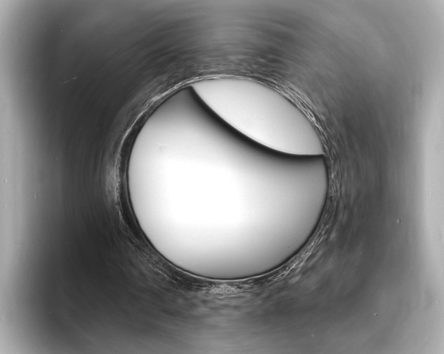 X0000093600290200710151003