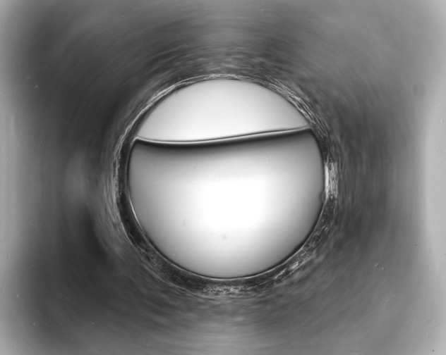 X0000093600291200710151003