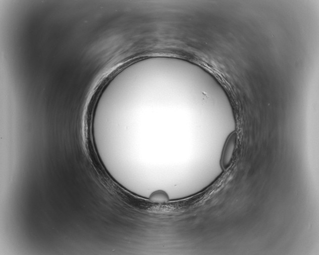 X0000093600294200710151003