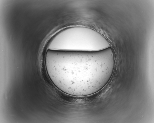 X0000093600295200710151003