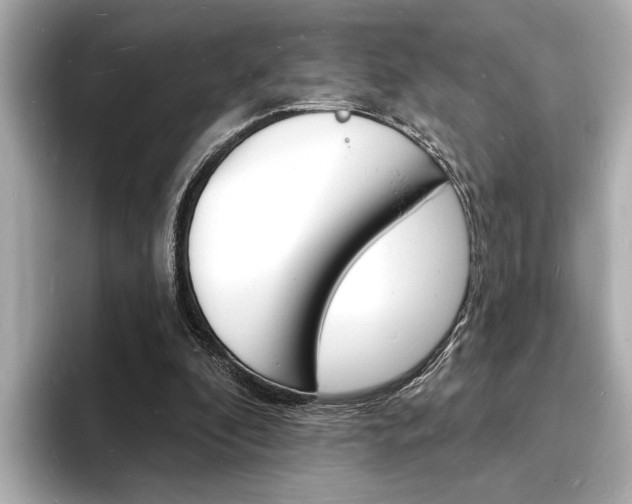 X0000093600296200710151003