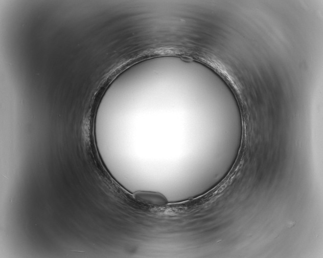 X0000093600297200710151003