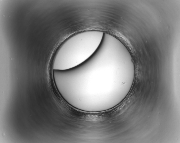 X0000093600298200710151003