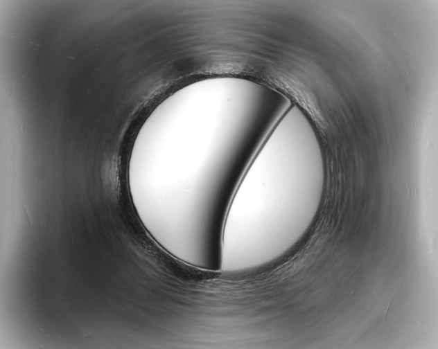 X0000093600300200710151003