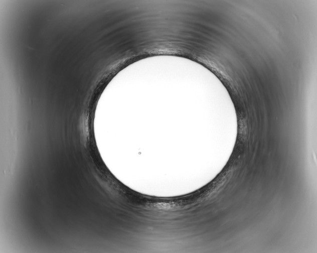 X0000093600302200710151002