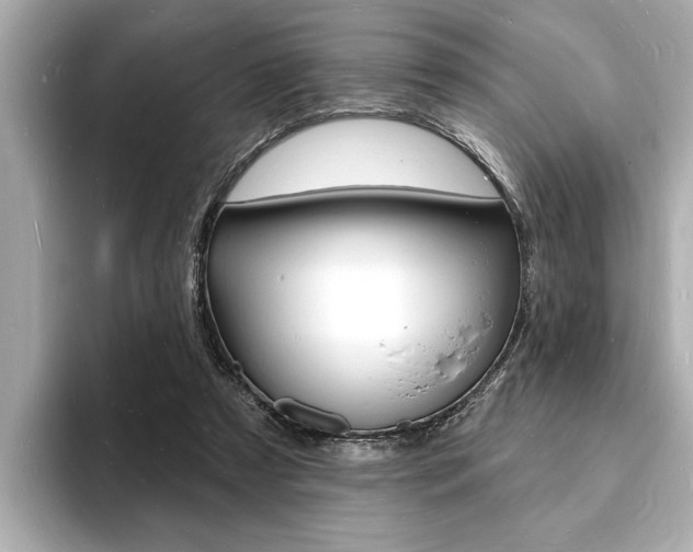 X0000093600305200710151002
