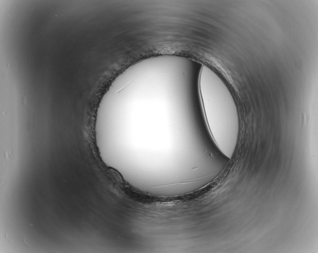 X0000093600307200710151002