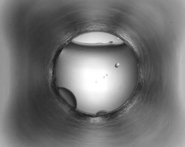 X0000093600309200710151002
