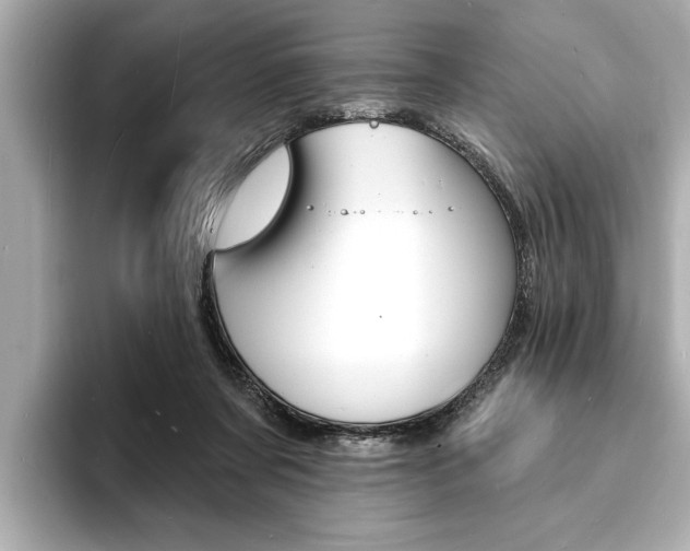X0000093600311200710151002