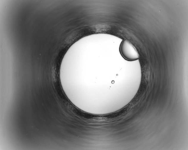 X0000093600316200710151002
