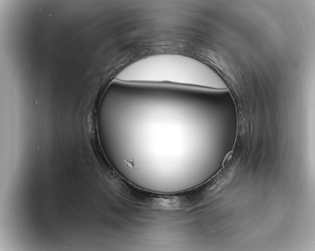 X0000093600317200710151002