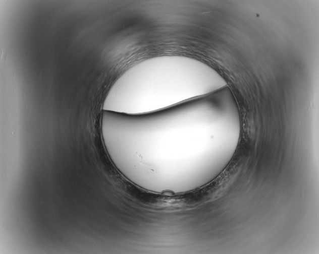 X0000093600319200710151002