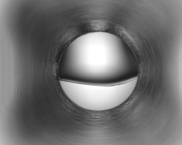 X0000093600325200710151002