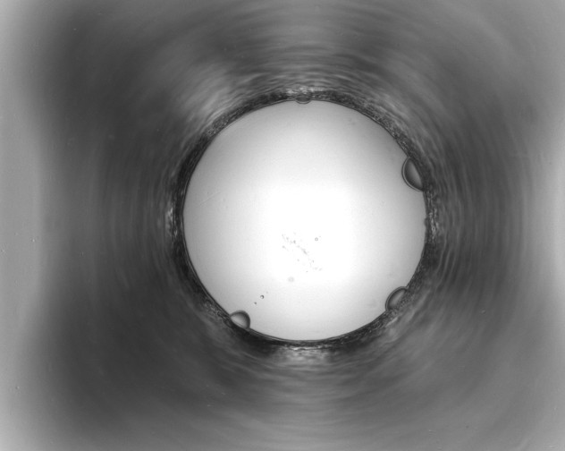 X0000093600327200710151002