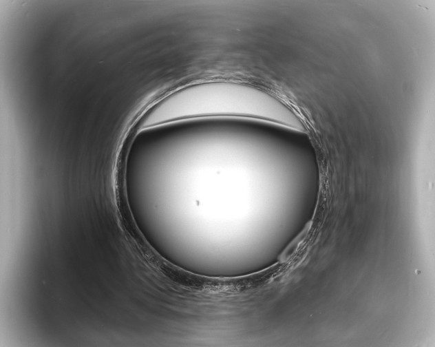 X0000093600340200710151002
