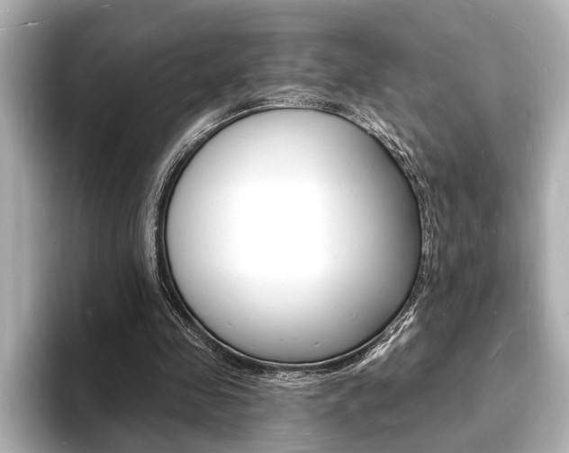 X0000093600341200710151002