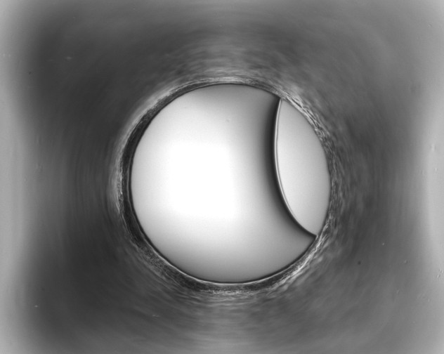 X0000093600342200710151002
