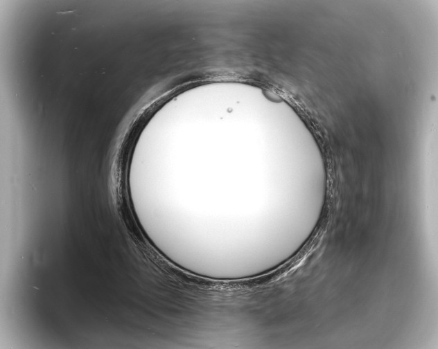 X0000093600343200710151002