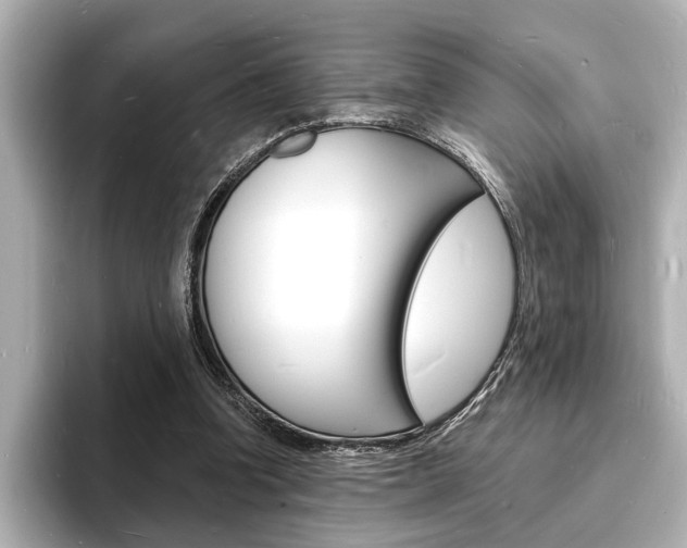 X0000093600346200710151002
